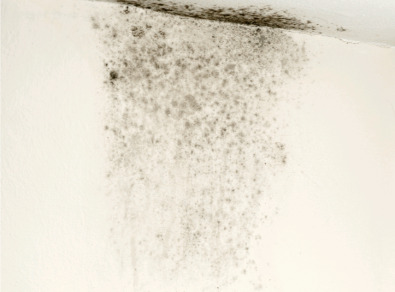 장수 주택 아파트 공장 결로검사 결로공사 시공업체