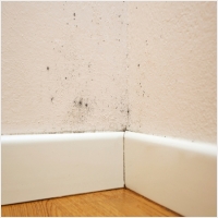 장수 주택 아파트 공장 결로검사 결로공사 시공업체-6106394